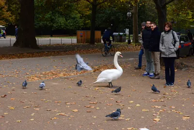 DSC_0635 (Large).JPG